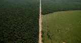 Deforestación en Chaco. Foto: Reuters