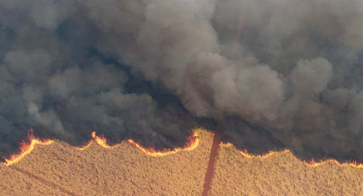 Incendios en Brasil. Foto: Reuters.