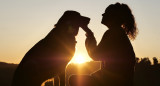 Felicidad, mascota, perro. Foto: Pexels.