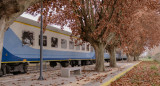 Trenes de larga distancia. Foto: Trenes Argentinos.