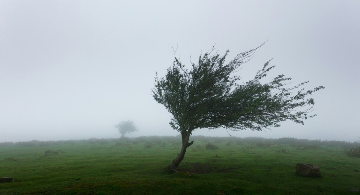 Viento. Foto: Unsplash.