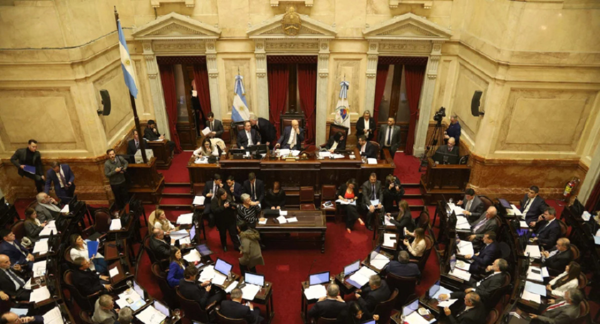 Debate en el Senado. Foto: NA