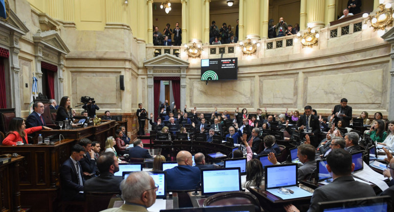 Debate en el Senado. Foto: X @SenadoArgentina