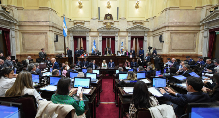 Debate en el Senado. Foto: X @SenadoArgentina