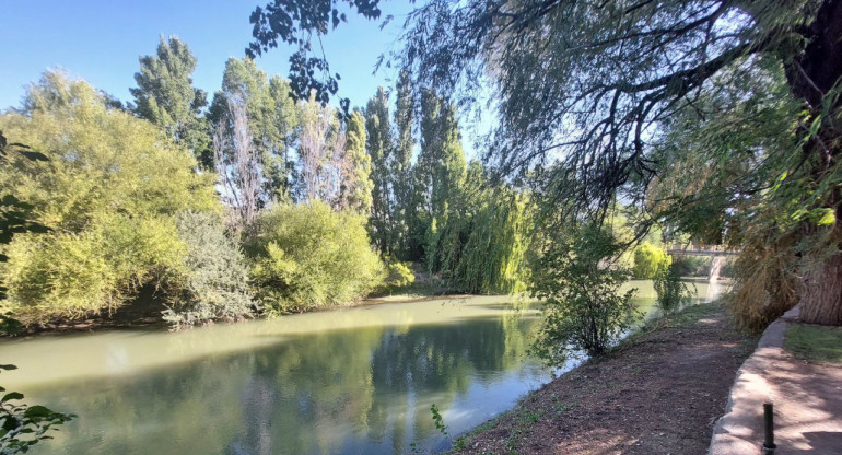 Gaiman, Chubut.  Foto/X: @diegotavella6