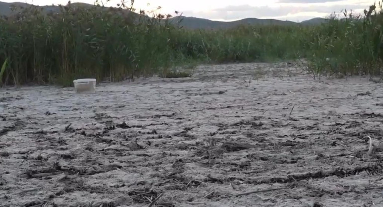 Sequía en la frontera entre Grecia y Macedonia del Norte. Foto: Captura de video/ Viory.