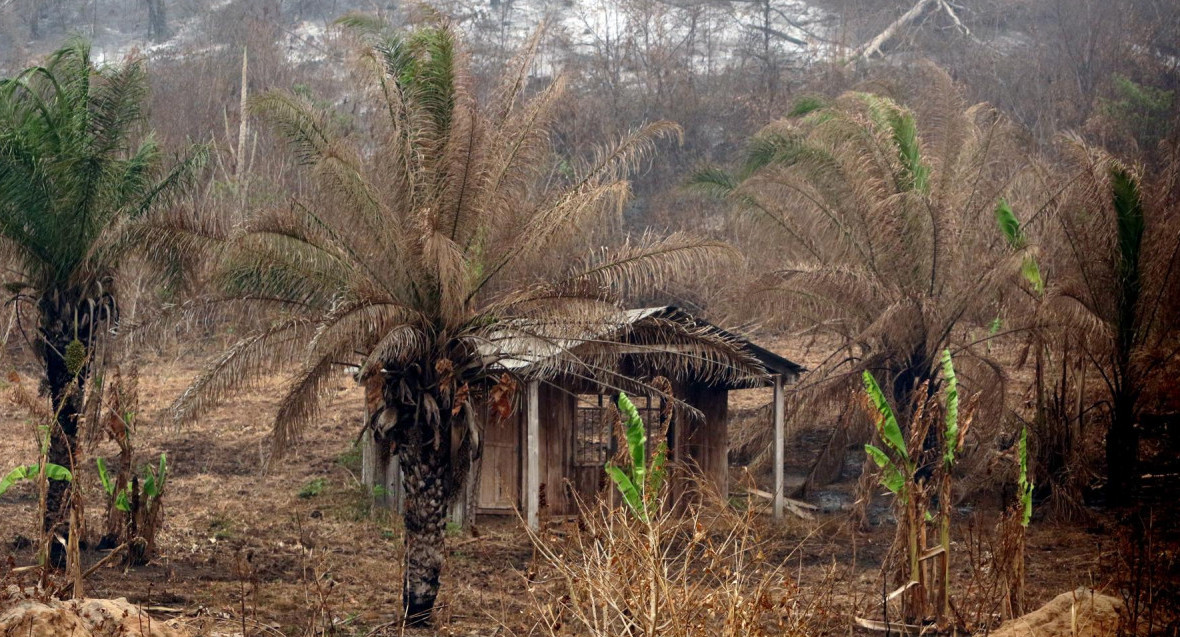 Incendios forestales en Bolivia. Foto: EFE.