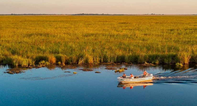 Esteros del Iberá. Fuente: NA