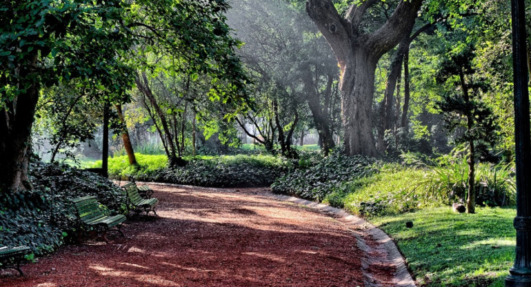 Jardín Botánico Carlos Thays. Foto: Buenos Aires Ciudad.