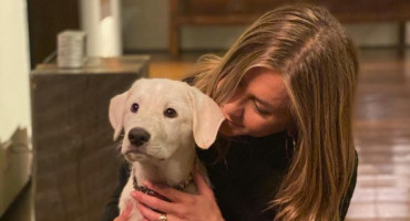 Jennifer Aniston junto a su mascota. Foto: Instagram.