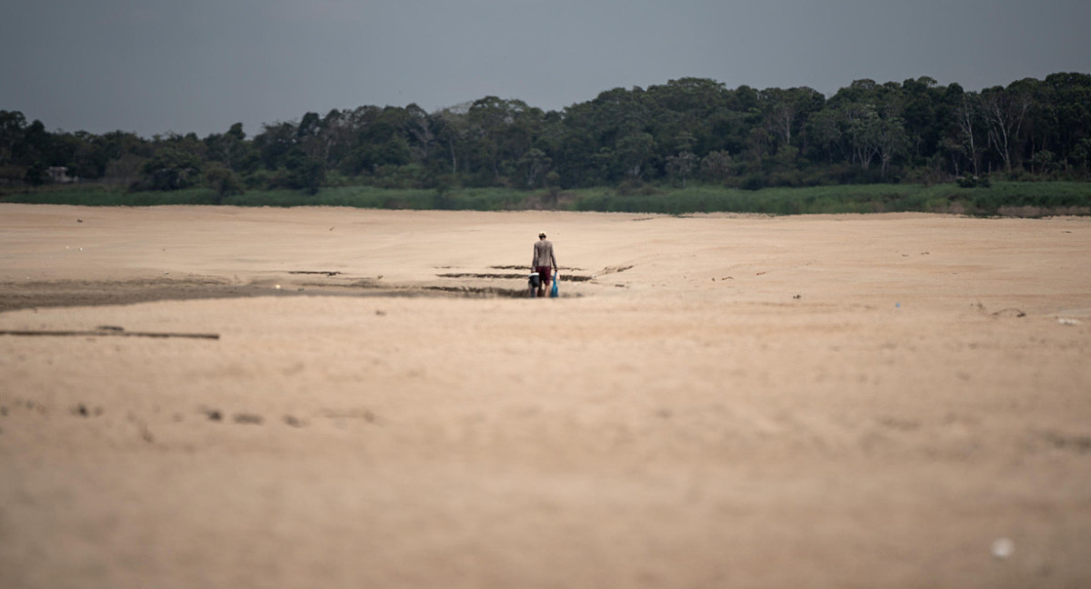 Sequía en Amazonas. Foto: EFE.