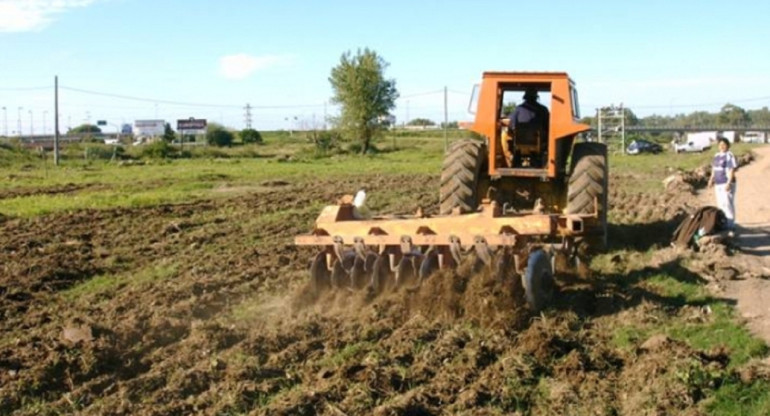 Huertas en Rosario. Foto: agriurbanarosario.com.ar