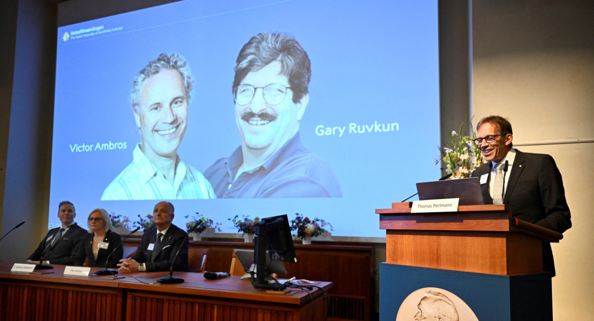 Gary Ruvkun y Víctor Ambros ganaron el Premio Nobel de Fisiología o Medicina 2024. Foto: Reuters.