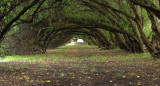 Bosque energético Miramar. Fuente: Turismo Miramar.