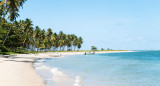 Playa de Brasil. Foto: Unsplash.