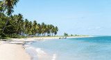 Playa de Brasil. Foto: Unsplash.