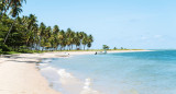 Playa de Brasil. Foto: Unsplash.