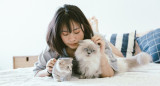 Gatos; felinos; mascotas. Foto: Unsplash.
