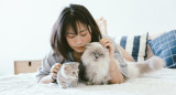 Gatos; felinos; mascotas. Foto: Unsplash.