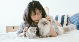 Gatos; felinos; mascotas. Foto: Unsplash.