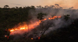 Incendios forestales en Brasil. Foto: EFE.