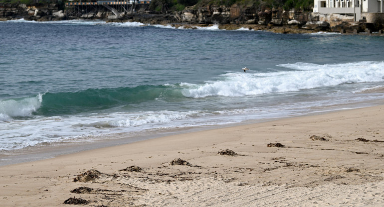 Playas cerradas en Sidney. Fuente: EFE