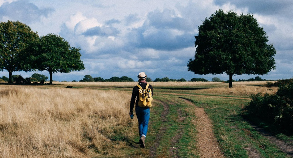 Caminata, naturaleza. Foto: Pexels.