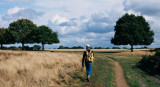 Caminata, naturaleza. Foto: Pexels.