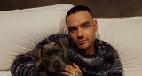 Liam Payne junto a su perro Stanley. Foto: Instagram @liampayne.