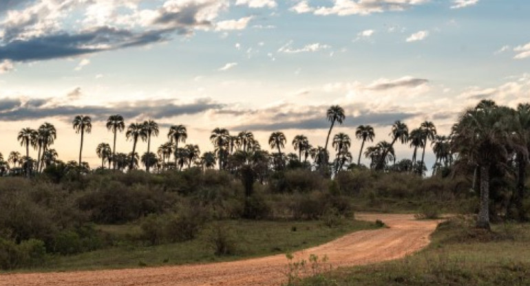 Escapa a África sin salir de Argentina. Foto: Provincia de Entre Ríos