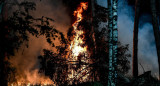 Incendios forestales. Foto: EFE.