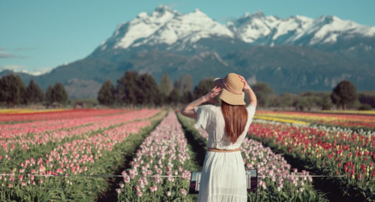 El Campo de Tulipanes en la Patagonia. Foto: Turismo Trevelin