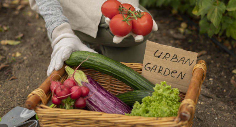 Huerta orgánica, frutas, verduras, Foto Freepik