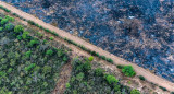 El Gran Chaco argentino agoniza por la deforestación masiva e ilegal. Foto: EFE.