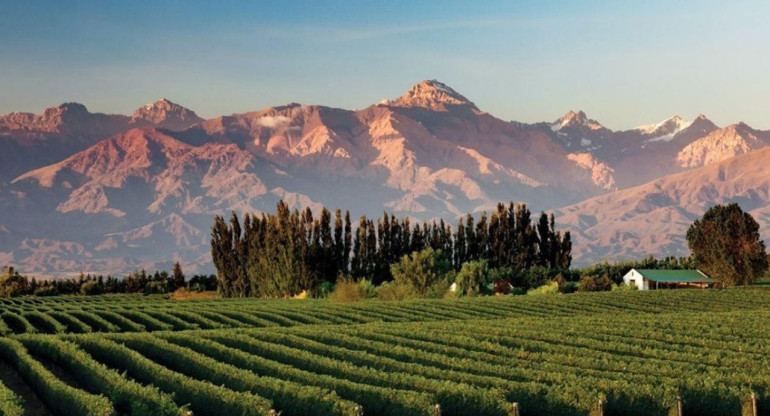 Valle de Uco. Fuente: Turismo Mendoza