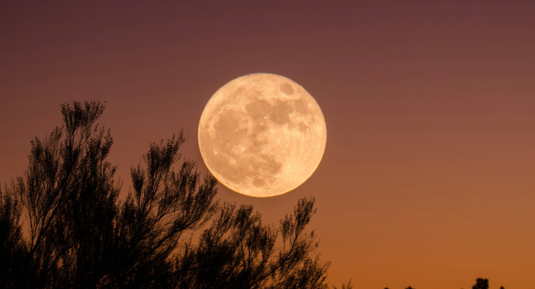 Superluna en Argentina. Foto: Unsplash.