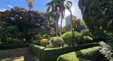 El jardín oculto. Foto: NA