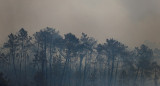 Cambio climático. Foto: Reuters.