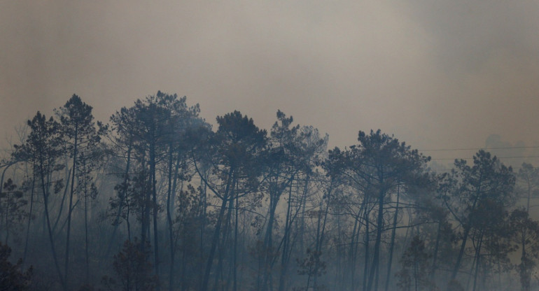 Cambio climático. Foto: Reuters.