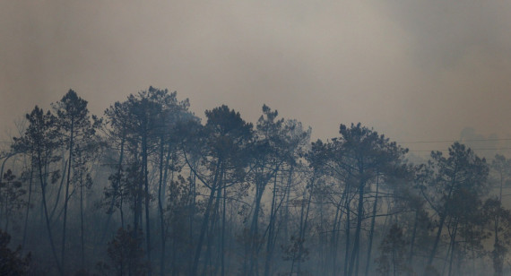 Cambio climático. Foto: Reuters.