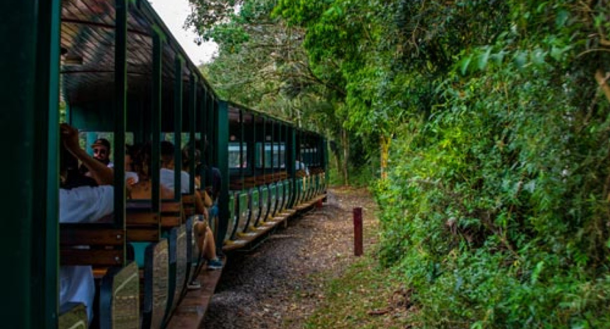 Tren Ecológico del Parque Nacional Iguazú. Foto: parquenacionaliguazu.com.ar.