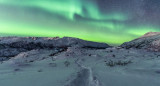 Aurora Boreal en Alaska. Foto: Freepik.