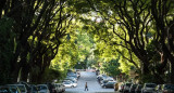 Avenida Melián. Foto: Gentileza Tiempo de Belgrano.