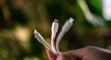 Lo peligros de comprar un cable USB-C en mal estado. Foto: Unsplash