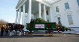 Un abeto que resistió al huracán Helene será el árbol de Navidad de la Casa Blanca. Foto: Reuters.