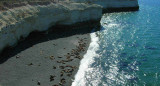 Lobería playa Paraná. Fuente: Turismo Chubut