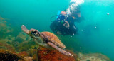 Buceo y snorkel en Buzios, Brasil. Foto: buzios.com.