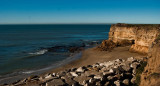 Acantilados en Mar del Plata. Foto: bafilma.gba