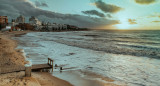 Un organismo marino venenoso invadió las playas de Uruguay: alerta por su posible llegada a Argentina – Canal 26