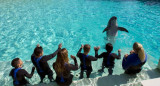 Marineland, parque marino de Francia. Foto: X/@MarinelandIscae.